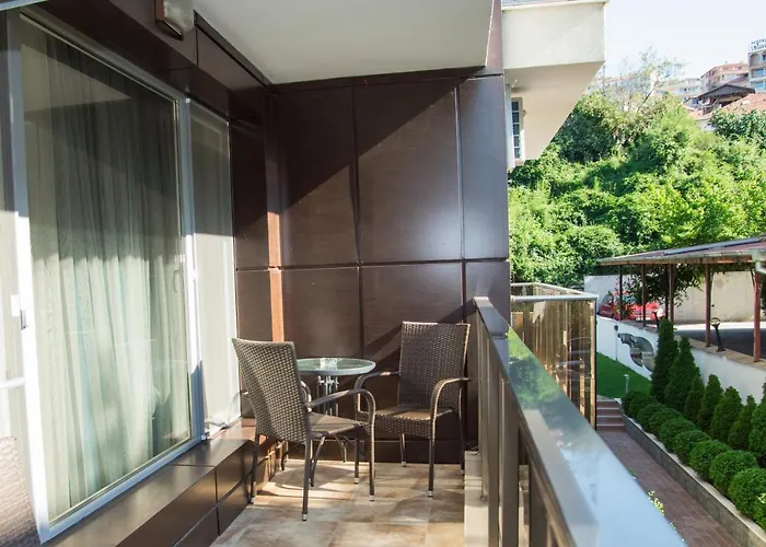 луксозен влас аристо