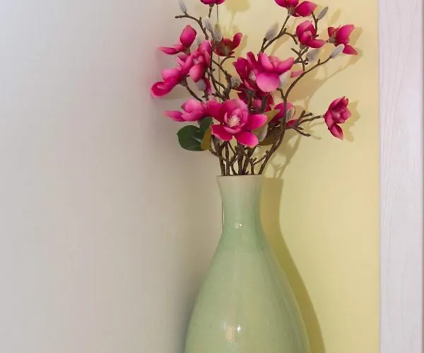 луксозен влас аристо Apartamento